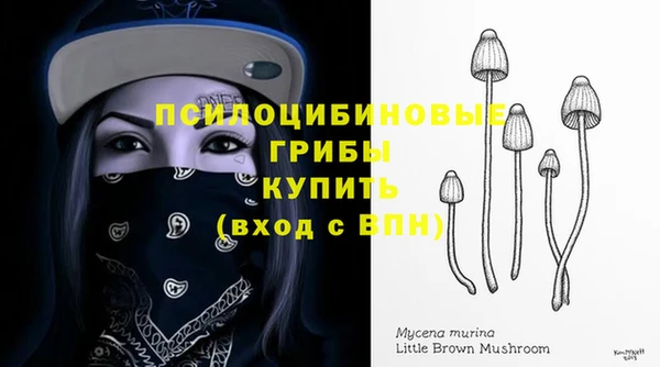 метамфетамин Алексин