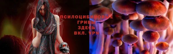 трава Алзамай