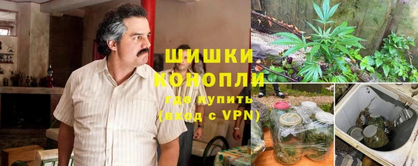 трава Алзамай